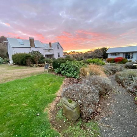 Robin Hoods Well Farm Stay Sassafras Dış mekan fotoğraf