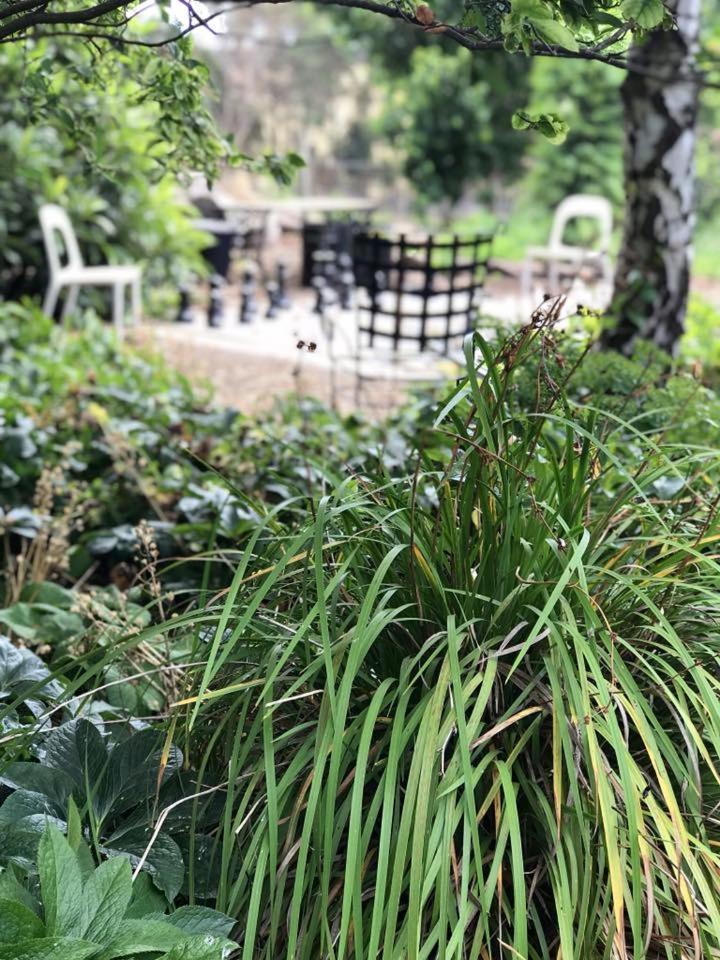 Robin Hoods Well Farm Stay Sassafras Dış mekan fotoğraf