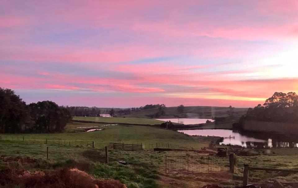 Robin Hoods Well Farm Stay Sassafras Dış mekan fotoğraf
