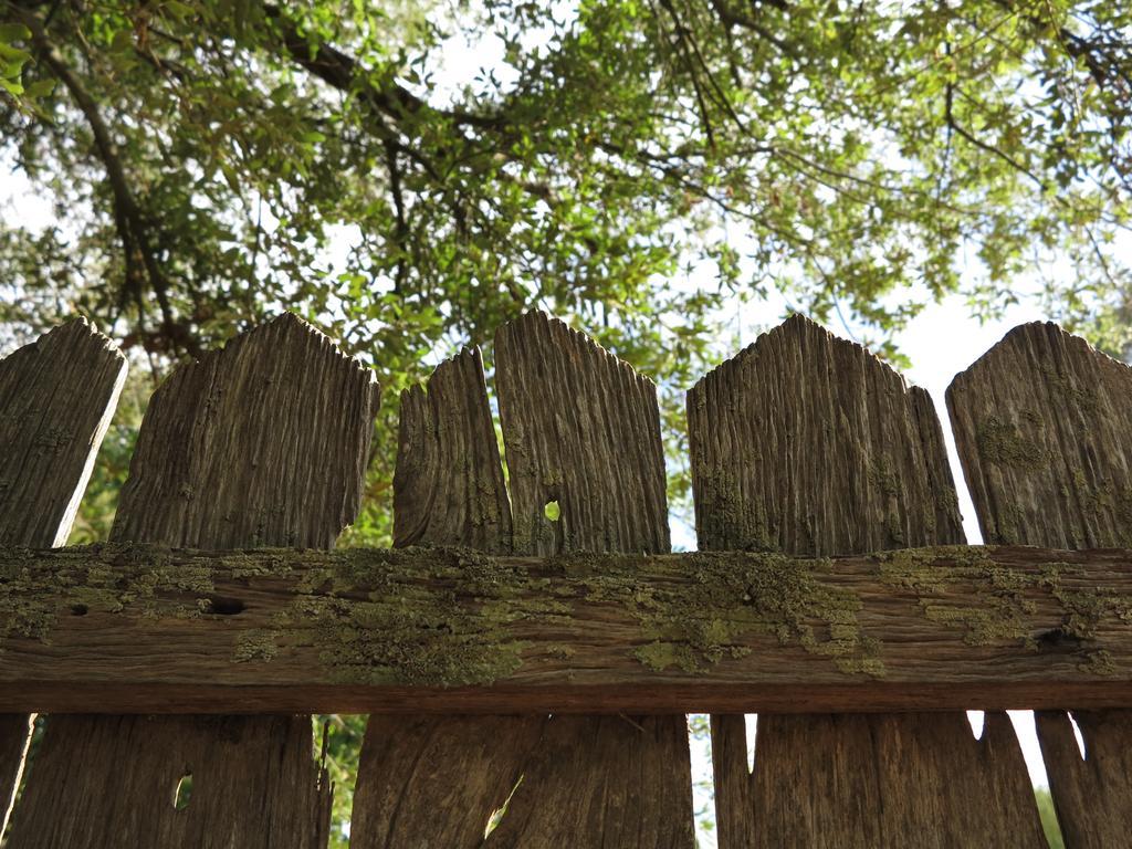 Robin Hoods Well Farm Stay Sassafras Dış mekan fotoğraf