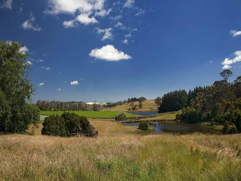 Robin Hoods Well Farm Stay Sassafras Dış mekan fotoğraf